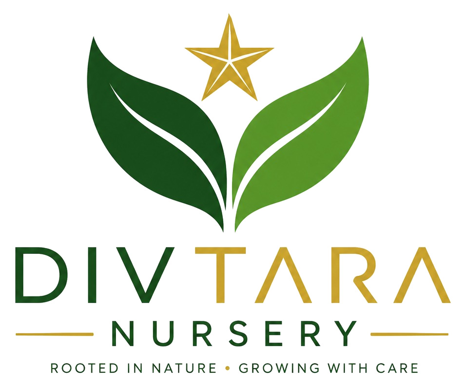 Divtara Nursery Logo